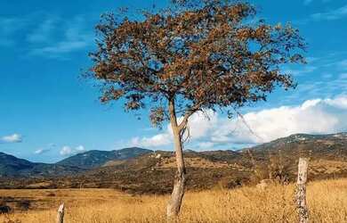 Imagem: A fazenda possui 1.000m² de Área e está localizado em Mairinque