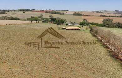 Imagem 3: Sitio de 12 alqueires com excelente estrutura