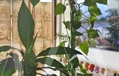 Imagem 9: Apartamento 1 Dormitório com vista livre novo, no Bairro da Aviação,...