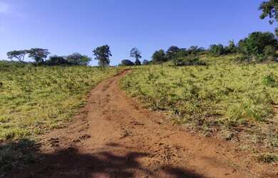 Imagem: A fazenda está localizado em Niquelândia, GO à venda por