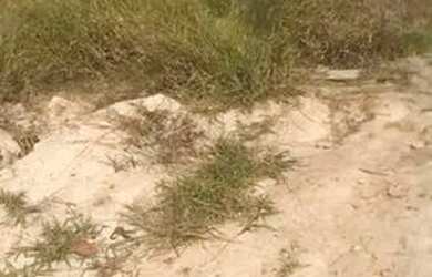 Imagem 7: Terreno Padrão em Jundiaí