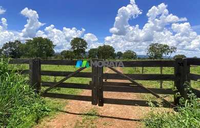 Imagem 4: FAZENDA À VENDA - 190 HECTARES - BURITIS MG