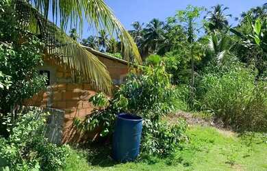 Imagem 14: Incrível terreno em Tatuamunha santuario do Peixe Boi