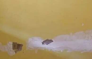 Imagem: A casa possui 2 Dormitórios, 1 Banheiro e está localizado