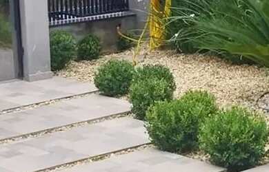 Imagem 5: Vende-se Casa Semi Mobiliada (590,65m²) Jlle, Petropolis, Rua Augusto Ernesto nº 545 R$2