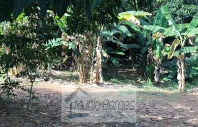 Imagem 14: Fazenda/Sítio/Chácara para lazer á venda 14000 metros quadrados