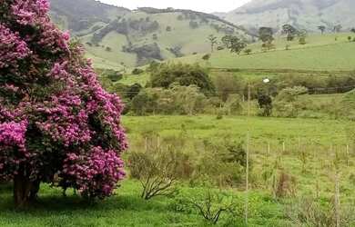 Imagem 14: Linda Fazenda para venda - 25 Alqueires - Lambari - Gonçalves - MG