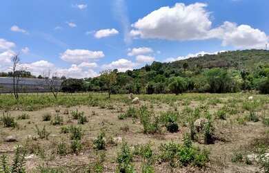 Imagem 13: Terreno plano com 21.600 m² no bairro Cruzeiro do Sul - Betim/MG
