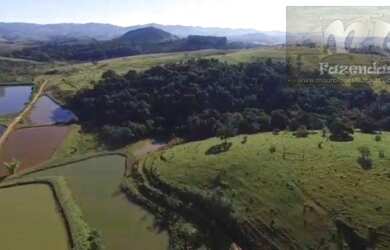 Imagem 5: Fazenda em Ouro Fino - MG com 92 alqs Uma Riqueza no Sul de Minas