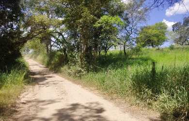 Imagem 7: Fazenda Fazendinha 19 Hectares, 16 Hectares. FLORESTA MG
