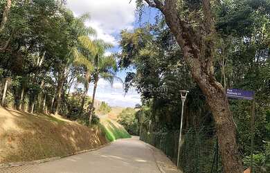 Imagem: O terreno possui Imóvel novo e está localizado em Salvaterra