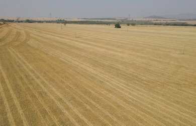 Imagem: A fazenda possui Imóvel novo e está localizado em Santa Rita