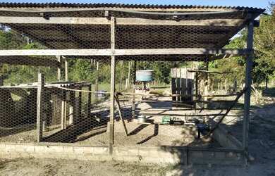 Imagem 5: Chácara com igarapé. 32.000m² de Área