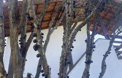 Imagem 7: ALUGO CASA MARICÁ INOÃ ITAIPUAÇU VISTA PANORÂMICA