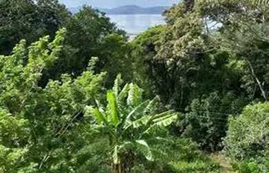 Imagem 15: Local para festa. Piscina, Churrasqueira, Ar-condicionadoeVista para o...