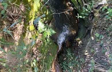 Imagem 10: Terreno à Venda, 20.000m2 a 55km de Brasilia, Entrada Facilitada 625...