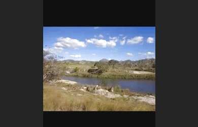 Imagem 2: Chácara. 8.000m² de Área