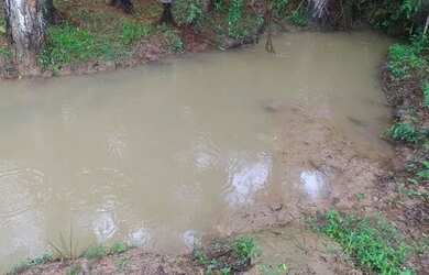 Imagem 4: Chácara com laguinho 175 mil reais em cima do retorno