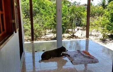 Imagem 4: Vendo Casa Saquarema. Churrasqueira, Varanda, 2.000m² de Áreae2 Vagas...