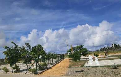 Imagem 10: Lote com um excelente preço - Cinthia Rocha Rainha dos Lotes Transformando sonhos em reali