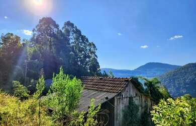 Imagem 7: Sítio / Chácara para Venda em Nova Petrópolis, Linha Riachuelo