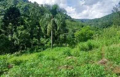 Imagem 9: Sítio bairro São Jacó, Nova Petrópolis.RS Ref. 159