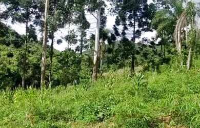 Imagem 3: Sítio bairro São Jacó, Nova Petrópolis.RS Ref. 159