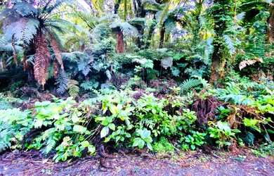 Imagem 12: A venda terreno de 7.620m², localizado em Canela