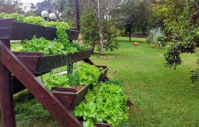 Imagem 13: Chácara / Sítio Bela Vista De Goiás / Alto Padrão