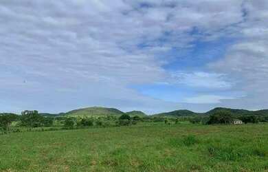 Imagem 5: Excelente Fazenda para cria e engorda de gado com 934 hectares à venda...