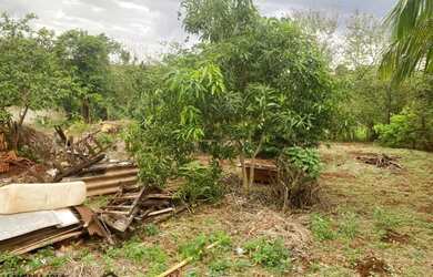 Imagem 10: RESIDENCIA COM AMPLO TERRENO, PRÓPRIO PARA CHACARA DE LAZER