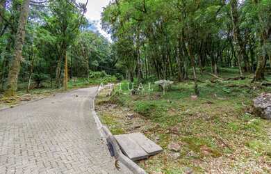 Imagem 3: TERRENO CONDOMÍNIO PINHEIRO GROSSO