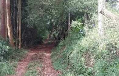 Imagem 2: Sítio bairro São Jacó, Nova Petrópolis.RS Ref. 159