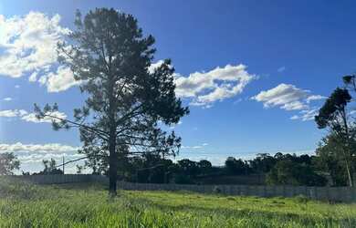 Imagem 8: Refúgio Natural com Estrutura Completa 500m² em Ibiúna-SP