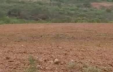 Imagem 2: Sítio localizado no Municípo Sítio do Quinto/BA