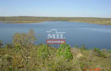 Imagem: A fazenda possui 500m² de Área e está localizado em Uruaçu