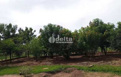 Imagem 2: Chácara Residencial disponível para Venda no bairro Área Rural em Uberlândia-MG