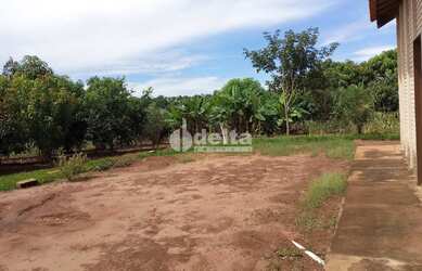Imagem 7: Chácara Residencial disponível para Venda no bairro Área Rural em Uberlândia-MG