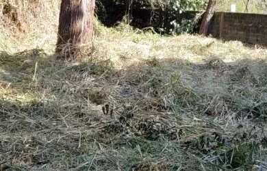 Imagem 9: AREA - CITY AMÉRICA - SP