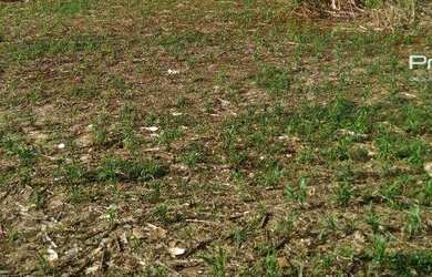 Imagem 2: Terreno à venda, 675 m² por R$ 1.000.000,00 - Santo Onofre - Cascavel/PR