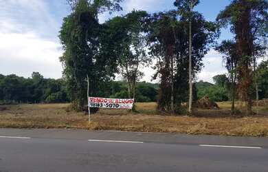 Imagem 6: Rodovia Am 070 - Manoel Urbano