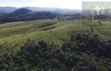 Imagem 8: Fazenda em Ouro Fino - MG com 92 alqs Uma Riqueza no Sul de Minas