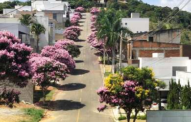 Imagem 5: Casa à venda, 540 m² por R$ 2.250.000,00 - Spinaville - Juiz de Fora/MG