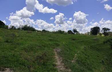 Imagem 4: Fazenda Fazendinha 19 Hectares, 16 Hectares. FLORESTA MG
