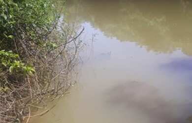 Imagem: A fazenda está localizado em Flores de Goiás, GO à venda