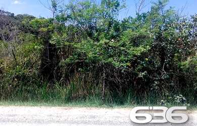 Imagem 8: Terreno Balneário Barra do Sul Pinheiros