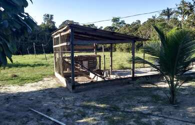 Imagem 15: Chácara com igarapé. 32.000m² de Área