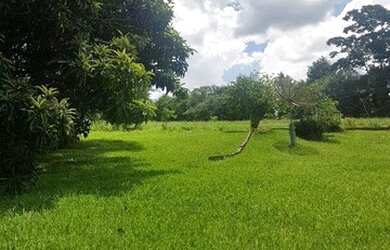 Imagem 3: Chácara à venda, 28600 m² por R$ 750.000,00 - Maracanã - Jarinu/SP