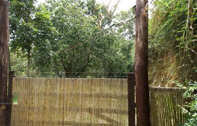 Imagem 15: A RC IMÓVEIS VENDE MARAVILHOSA FAZENDA DE 30 HA EM PETRÓPOLIS - RJ