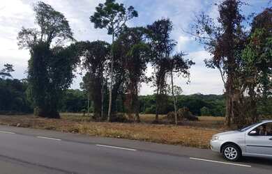 Imagem 1: Rodovia Am 070 - Manoel Urbano